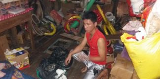 Simpan Trenggiling dan Sisiknya Pemuda di Kuala Mandor B Dibekuk