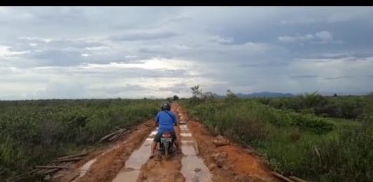 Jalan Rusak, Kampung Telayar Tak Terjamah Pembangunan
