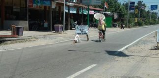 Perusahaan Perkebunan Harus Perbaiki Jalan