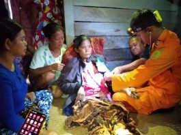 Makan Pucuk Rotan Demi Bertahan Hidup