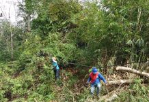Cuaca Ekstrem Ganggu Suplai Listrik di Bengkayang