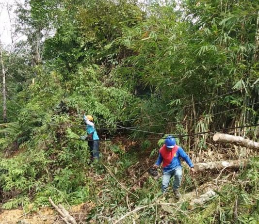Cuaca Ekstrem Ganggu Suplai Listrik di Bengkayang