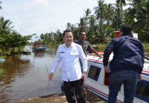 Pemangku Kepentingan dapat Manfaatkan Potensi Hutan