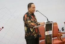 Targetkan 7.000 Jurnal, Pemerintah Sediakan ‘Rumah E-Journal’ Gratis