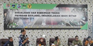 Madu Hutan Danau Sentarum Produk Unggulan Indonesia