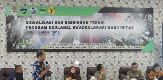 Madu Hutan Danau Sentarum Produk Unggulan Indonesia