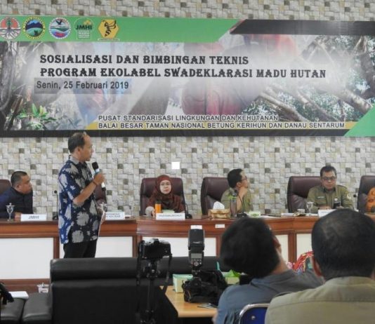 Madu Hutan Danau Sentarum Produk Unggulan Indonesia