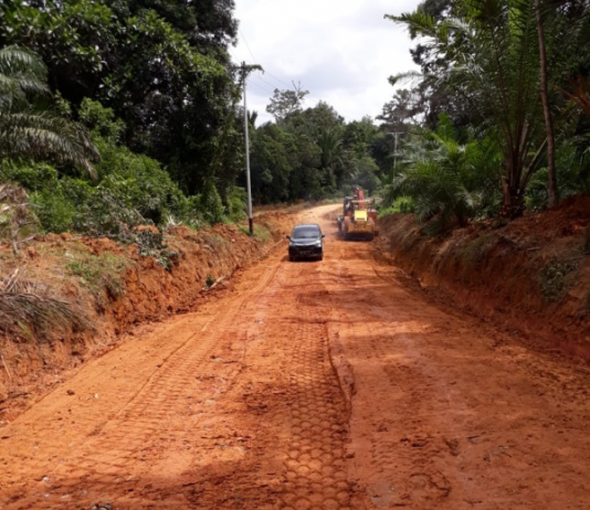 Truk Angkut Sawit Bikin Rusak Jalur Vital Desa