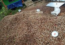 Tengkawang Melimpah, Tidak Ada Pembeli