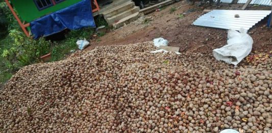 Tengkawang Melimpah, Tidak Ada Pembeli