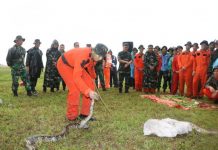 Ketemu Ular ya Makan Ular, Ketemu Daun ya Makan Daun