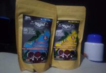 Canangkan Budidaya Kopi Bersama BUMDes