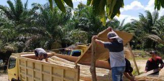 20 Ton Rotan dan 6 Orang Nyaris Diselundupkan ke Malaysia