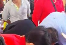 Dianggap Sakral dan Hidup