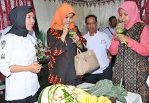 Musik Jazz Temani Pencinta Kuliner Pontianak