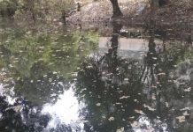 Sungai Alai Diduga Tercemar Limbah Hotel My Home