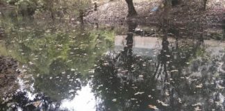 Sungai Alai Diduga Tercemar Limbah Hotel My Home