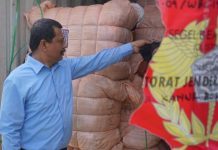 Bea Cukai Sita 3 Kontainer Lelong