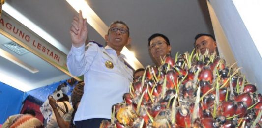 Libatkan Perusahaan Sawit Membangun Desa