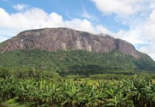 Sebelum Bukit Kelam, Gempa di Pontianak Tahun 2011