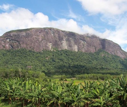 Gempa Magnitudo 3,1 Guncang Sintang