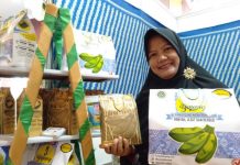 Berkah Pisang Nipah, Riana Sukses Bangun Bisnis Keripik