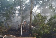 Kalbar Mulai Diguyur Hujan