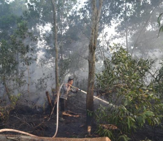 Kalbar Mulai Diguyur Hujan