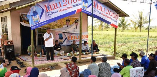 Kelola BUMDes, Pemerintah Desa Harus Libatkan Pemuda