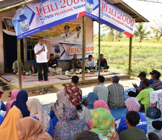 Kelola BUMDes, Pemerintah Desa Harus Libatkan Pemuda