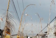 Rawat NKRI, Umat Hindu Kalbar Netral dan Idependen