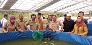 Ponpes Syaikh Zainuddin NW Melawi Panen Lele Bioflok