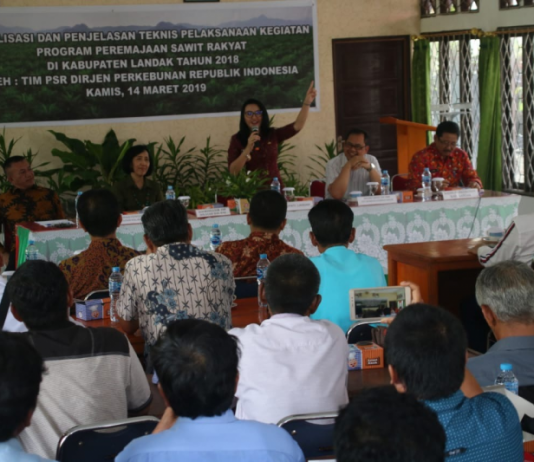 Program Peremajaan Sawit Rakyat di Landak Mesti Digarap Serius