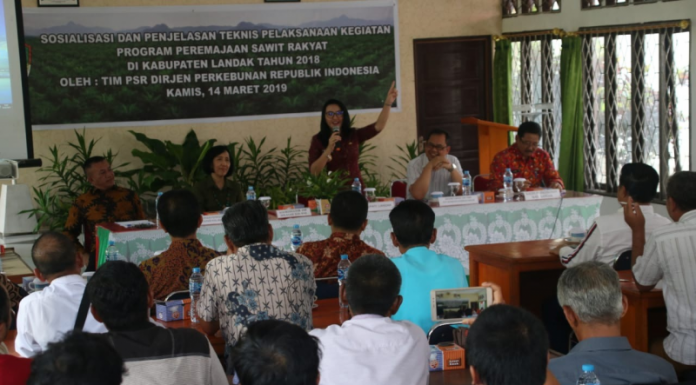 Program Peremajaan Sawit Rakyat di Landak Mesti Digarap Serius