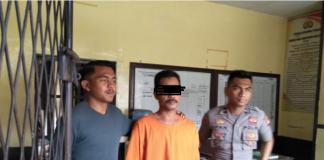 Buruh Bakar 1 Hektar Kebun Nanas