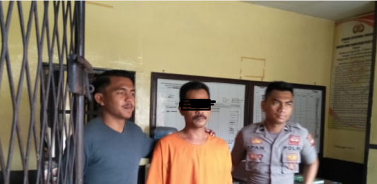 Buruh Bakar 1 Hektar Kebun Nanas