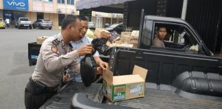 Dikira Tikus, Tenyata Orok Bayi Lelaki