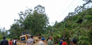 Lima Titik Longsor Sepanjang 1,5 Km, Tagana: Rawan Longsor Susulan