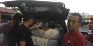 4 Karung Sepatu Lelong dari Malaysia Disita Polisi