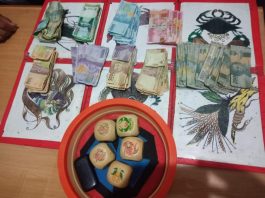 Dua Bandar Kolok-kolok Dibekuk