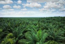 Indonesia Siap Laporkan Uni Eropa ke WTO