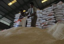 Bulog Khawatir Penyerapan Beras Menyempit