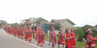 Kontingen Tiga Kabupaten Pawai Budaya Meriahkan Naik Dango