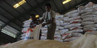 Bulog Khawatir Penyerapan Beras Menyempit