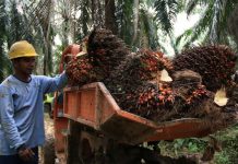 CPO Indonesia Dihadang Lagi