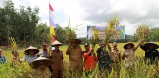 Bulog Target 321 Ton Beras Tahun Ini