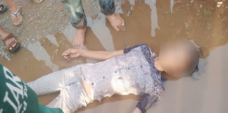 Fikri Meregang Nyawa