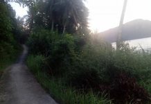 PUPR Pastikan Pembangunan Jalan Poros Desa Pelapis. Tommy: Jangan Biarkan Anak ke Sekolah Panjat Gunung dan Nyeberang Laut