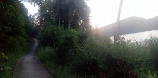 PUPR Pastikan Pembangunan Jalan Poros Desa Pelapis. Tommy: Jangan Biarkan Anak ke Sekolah Panjat Gunung dan Nyeberang Laut