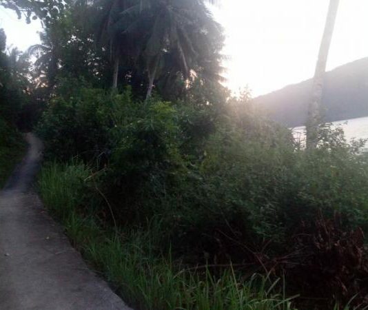 PUPR Pastikan Pembangunan Jalan Poros Desa Pelapis. Tommy: Jangan Biarkan Anak ke Sekolah Panjat Gunung dan Nyeberang Laut